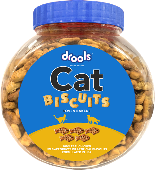 Cat Biscuits